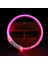 Pembe Tarzı S 35CM 13.8 Inç Rojeco LED USB Köpek Tasması Şarj Edilebilir LED Gece Güvenliği Pet Köpek Tasmaları Tüp Yanıp Sönen Glow Parlayan Aydınlık Gece Köpek Tasma Kurşun (Yurt Dışından) 1