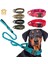 Kamuflaj Seti Stili Xl Beden 1050D Naylon Taktik Köpek Tasması ve Çift Saplı Bungee Tasma Ayarlanabilir Askeri Pet Köpek Eğitim Yaka Yansıtıcı Halat ile (Yurt Dışından) 2