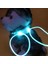Sarı Stil Ayarlanabilir Yüksek Li Çok Renkli LED Pet Yaka Ayarlanabilir Gece Güvenliği Pet Yaka Aydınlık Light Up Pet Köpek Parlak Yaka Tasma (Yurt Dışından) 5