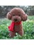 Çikolata Tarzı 30CM Güzel Köpek Mankenler Pet Oyuncak Oyuncak Köpek Peluş Oyuncak Hediye Bebek Ev Furg Giydirme (Yurt Dışından) 1