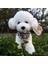 Çikolata Tarzı 30CM Güzel Köpek Mankenler Pet Oyuncak Oyuncak Köpek Peluş Oyuncak Hediye Bebek Ev Furg Giydirme (Yurt Dışından) 3