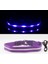 Mor Tarzı M Boyun 35-50CM Ipx7 Su Geçirmez LED Köpek Yaka Köpekler Için Noel USB Şarj Yaka Köpek Yavruları Anti-Kayıp Kurşun Pet Ürünleri Köpek Aksesuarları (Yurt Dışından) 1
