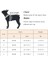 Kabuk Stili S-Göğüs 40-45CM Küçük Orta Köpekler Için Pet Köpek Koşum Örgü Nefes Köpek Kedi Koşumları Tasma Seti Fransız Bulldog Shiba Inu Evcil Hayvan Aksesuarları (Yurt Dışından) 3