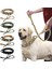 Siyah Set Stili M Beden Güçlü Köpek Askeri Taktik Yaka Pet Bungee Tasma Dayanıklı Naylon Pet Eğitim Yaka Saplı Büyük Köpekler Fransız Bulldog (Yurt Dışından) 5