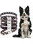 Color9 Stili Xs Beden Köpek Tasması Kediler Köpek Şeyleri Malzemeleri Oyulmuş Kimlik Etiketi Isim Plakası Adı Küçük Büyük Köpekler Için Özel Evcil Hayvan Ürünleri Tasmaları (Yurt Dışından) 4