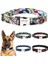 Color9 Stili Xs Beden Köpek Tasması Kediler Köpek Şeyleri Malzemeleri Oyulmuş Kimlik Etiketi Isim Plakası Adı Küçük Büyük Köpekler Için Özel Evcil Hayvan Ürünleri Tasmaları (Yurt Dışından) 5