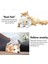 C Stili Köpek Oyuncak Kalp Atışı Evcil Hayvan Oyuncak Pet Isıtma Peluş Oyuncak Rahat Davranış Eğitim Yardımı Oyuncak Köpek Kedi Uyku Kalp Atışı Peluş Bebek (Yurt Dışından) 4