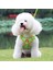 Açık Mavi Stil L Beden Yelek Tarzı Köpek Tasması Teddy Küçük Köpek Bichon Hiromi Göğüs Kemeri Yavru Köpek Yavruları Köpek Tasması Köpek Zinciri Geceleri Yansıtıcı, W Için Daha Güvenli (Yurt Dışından) 5