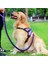 Mavi Set Stili L Beden Katı Köpek Koşum Yelek Yürüyüş ve Eğitim Pet Koşum ve Tasma Seti Ayarlanabilir Köpekler Yaka Koşum Fransız Bulldog Için Çekme Yok (Yurt Dışından) 5