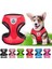 Yeşil Stil L Büst 42-56CM Pembe Pet Koşum ve Tasma Seti Ayarlanabilir Çekme Yok Yansıtıcı Köpekler Kediler Koşum Mesh Chihuahua Için Nefes Alabilir Köpek Koşumları (Yurt Dışından) 2
