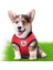 Yeşil Stil L Büst 42-56CM Pembe Pet Koşum ve Tasma Seti Ayarlanabilir Çekme Yok Yansıtıcı Köpekler Kediler Koşum Mesh Chihuahua Için Nefes Alabilir Köpek Koşumları (Yurt Dışından) 5