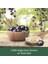 Duş Jeli Superfood Acai Üzümü & Yulaf 500 ml 3