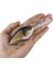 Renk 6 Tarzı Büyük Gerçekçi Wobblers Balıkçılık Cazibesi Yüzen Derin Dalış Crankbait Tatlı Su Tuzlu Su Deniz Balıkçılığı Çıngırakları Için Krank Yemi (Yurt Dışından) 2