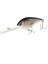 Renk 6 Tarzı Büyük Gerçekçi Wobblers Balıkçılık Cazibesi Yüzen Derin Dalış Crankbait Tatlı Su Tuzlu Su Deniz Balıkçılığı Çıngırakları Için Krank Yemi (Yurt Dışından) 5