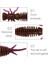 Renk K Stili 55 mm Larva Yumuşak Yemler Yapay Yemler Balıkçılık Solucan Silikon Bas Pike Minnow Swimbait Jig Plastik Yemler Pesca (Yurt Dışından) 5