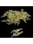 20 Adet Tarzı Lot Silikon Yemler 4cm 1g Yumuşak Balıkçılık Cazibesi Altın Yapay Karides Yemi Kanca Yok Deniz Balıkçılığı Kış Balıkçılığı X107 (Yurt Dışından) 4