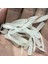 Bir Stil Lot Yeni Sıcak Satış Kırmızı Solucan Yumuşak Balıkçılık Cazibesi Tuz Kokusu ile 4cm 0.4g Balık Kokusu Yapay Silikon Yem Olta Takımı (Yurt Dışından) 2