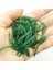 Bir Stil Lot Yeni Sıcak Satış Kırmızı Solucan Yumuşak Balıkçılık Cazibesi Tuz Kokusu ile 4cm 0.4g Balık Kokusu Yapay Silikon Yem Olta Takımı (Yurt Dışından) 3