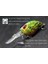 C770X78 Stili Wlure 6cm 5g Derin Dalış Sıkı Wobble Balıkçılık Cazibesi Tatlı Su Sert Yem Yüzen Jerkbait 8 # Hooks Böcek Yemi Crankbait C770 (Yurt Dışından) 4