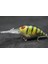 C770X67 Stili Wlure 6cm 5g Derin Dalış Sıkı Wobble Balıkçılık Cazibesi Tatlı Su Sert Yem Yüzen Jerkbait 8 # Hooks Böcek Yemi Crankbait C770 (Yurt Dışından) 1