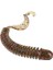 E Stili 60MM 1.8g 10 Adet Lot Spiral Kuyruk Solucan Yumuşak Yemler 6cm 1.8g Wobblers Karides Kokusu Tuzlu Silikon Yapay Yem Pesca Bas Sazan Takımı (Yurt Dışından) 2