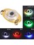 E Stili 1 Adet LED Balık Lambası Mini Balıkçılık Cazibesi Işık LED Derin Damla Sualtı Göz Şekli Balıkçılık Kalamar Balıkçılık Yemi Aydınlık Cazibesi (Yurt Dışından) 3