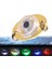 E Stili 1 Adet LED Balık Lambası Mini Balıkçılık Cazibesi Işık LED Derin Damla Sualtı Göz Şekli Balıkçılık Kalamar Balıkçılık Yemi Aydınlık Cazibesi (Yurt Dışından) 4