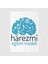 Harezmi Eğitim Modeli Posteri - PO584 1