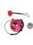 Motor Bobini Motor Stator Motor Bobini Motokros Atv Plaj Bisiklet Parçaları (Yurt Dışından) 1