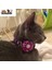 Pembe Tarzı S Beden Suprepet Pet Kedi Yaka Çiçek Çan Elmas Köpek Kedi Yaka Ayarlanabilir Kolay Aşınma Toka Güzel Kedi Kolye Kedi Aksesuarları (Yurt Dışından) 4