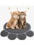 Elma Yeşili Stili Kedi Kumu Kapan Paspaslar Pedler 30*40CM Pvc Elastik Elyaf Kediler Için Paspaslar Kum Kutuları Sıcak Ev ve Bahçe (Yurt Dışından) 4