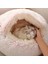 Yeşil Stil 40CM Süper Yumuşak Kedi Yatak Evi Sıcak Kış Kedi Yavrusu Uyku Yatakları Yuva Uzun Peluş Yavru Yuvarlak Kanepe Küçük Köpekler Kedi Kulübesi Kaymaz (Yurt Dışından) 5