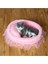 Beyaz Stil 53X40CM Yuvarlak Kedi Yatak Ev Yumuşak Dantel Prenses Kedi Mat Yatak Kulübeleri Yuva Yastık Pet Kanepe Yastık Taşınabilir Evcil Hayvanlar Uyku Malzemeleri (Yurt Dışından) 5