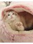 Uzun Peluş Pembe Tarzı 50CM Kedi Yuvarlak Peluş Yatak Sıcak Ev Küçük Köpekler Için Yumuşak Uzun Pet Yatak Yuva 2 1 Kanepe Uyku Minderi (Yurt Dışından) 5