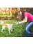 Orta Büyük Köpekler Için Interaktif Köpek Oyuncakları Yıkılmaz Dev Halat Pet Çiğnemek Oyuncaklar Güvenli Köpek Dişleri Temizleme Oyun Oyna (Yurt Dışından) 4