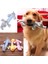 Popüler Pet Köpek Kedi Komik Polar Dayanıklılık Peluş Köpek Oyuncakları Squeak Chew Ses Oyuncak Tüm Evcil Hayvanlar Için Fit Fil Ördek Domuz Peluş Oyuncaklar (Yurt Dışından) 2