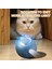 Akıllı Kedi Oyuncakları Otomatik Yuvarlanan Top Elektrikli Silikon Isırma Önleyici Düşme Önleyici Dönen Parlatıcı Interaktif Pet Köpek Oyuncak (Yurt Dışından) 4