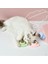 Pet Catnip Oyuncakları Yenilebilir Catnip Topu Güvenlik Sağlıklı Kedi Nane Kediler Ev Kovalayan Oyun Oyuncak Ürünleri Temiz Dişler Mide Catmint (Yurt Dışından) 3