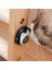 Doğal Catnip Taşlama Dişleri Nane Topu Yenilebilir Güvenlik Sağlıklı Atıştırmalık Kapalı Dönebilen Duvara Yapışan Oyuncaklar Kedi Nane Pet Malzemeleri (Yurt Dışından) 3