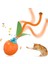 Chirping Carrot Kedi Oyunları Etkileşimli Rolling Ball Motion Sensor Otomatik Hareket Topu Oyunlarını Kediler Uzun Kuzey Oyuncu Için (Yurt Dışından) 1