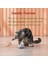 Chirping Carrot Kedi Oyunları Etkileşimli Rolling Ball Motion Sensor Otomatik Hareket Topu Oyunlarını Kediler Uzun Kuzey Oyuncu Için (Yurt Dışından) 5
