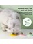 Kedi Oyuncak Top Duvara Monte Catnip Top Catnip Şeker Catnip Oyuncak Sağlıklı Beslenme Taze Nefes Yavru Kedi Aksesuarları Pet Malzemeleri (Yurt Dışından) 4