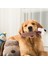 Köpek Oyuncakları Doldurulmuş Hayvanlar Yumuşak ve Sevimli Doldurulmuş Köpek Oyuncakları Interaktif Gıcırtılı Köpek Oyuncakları Köpek Oyuncakları Için Sesli Çiğneme Oyuncakları (Yurt Dışından) 3
