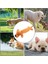 Köpek Oyuncakları Doldurulmuş Hayvanlar Yumuşak ve Sevimli Doldurulmuş Köpek Oyuncakları Interaktif Gıcırtılı Köpek Oyuncakları Köpek Oyuncakları Için Sesli Çiğneme Oyuncakları (Yurt Dışından) 5