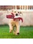 1 Adet Küçük Büyük Köpekler Için Köpek Oyuncakları Hayvan Peluş Oyuncak Köpek Kedi Pet Oyuncak Çiğnemek Halat Düğüm Kemik Halat Pet Oyuncaklar Eğitim Köpek Aksesuarları (Yurt Dışından) 5