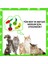 Çılgın Manav 4 Adet Peluş Kedi Oyuncak Seti 8 Adet Kedi Nanesi Paketi Dahil Peluş Kedi Oyuncakları 8