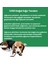 NeoBarf Doğal Sığır Teendon Köpek Çiğneme Çubuğu 3 Adet - Köpek Kemirme Ödül Çubuğu 7