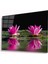 Lotus Çiçeği Cam Tablo 4mm Dayanıklı Temperli Cam 1