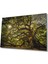 Ağaç Orman Güneş Yeşil Cam Tablo, Ev ve Ofis Duvar Dekoru Hediyelik Büyük Tablo Dayanıklı Cam 1