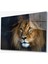 Aslan Hayvan Cam Tablo 4mm Dayanıklı Temperli Cam 1